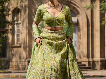 Mulmul Banarsi Sindhuri Green Lehenga Sale