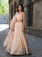 Mulmul Banarsi Sindhuri Light Pink Lehenga Online Sale