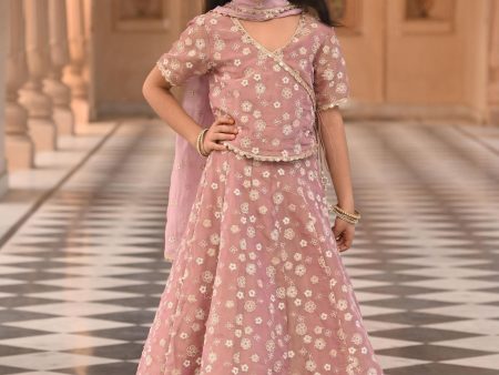 Mulmul Luxe Tissue Jalebi Lilac Lehenga Fashion