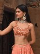 Mulmul Organza Satin Baliye Burnt Orange Lehenga For Sale