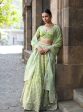 Mulmul Banarsi Sindhuri Green Lehenga Sale