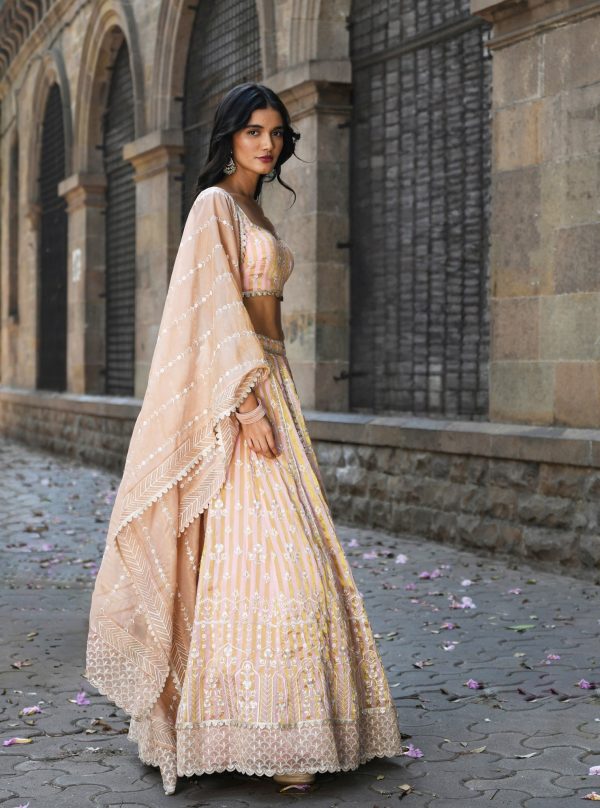 Mulmul Banarsi Sindhuri Light Pink Lehenga Online Sale