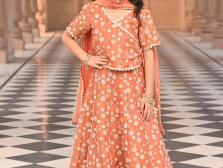 Mulmul Luxe Tissue Jalebi Burnt Orange Lehenga For Discount