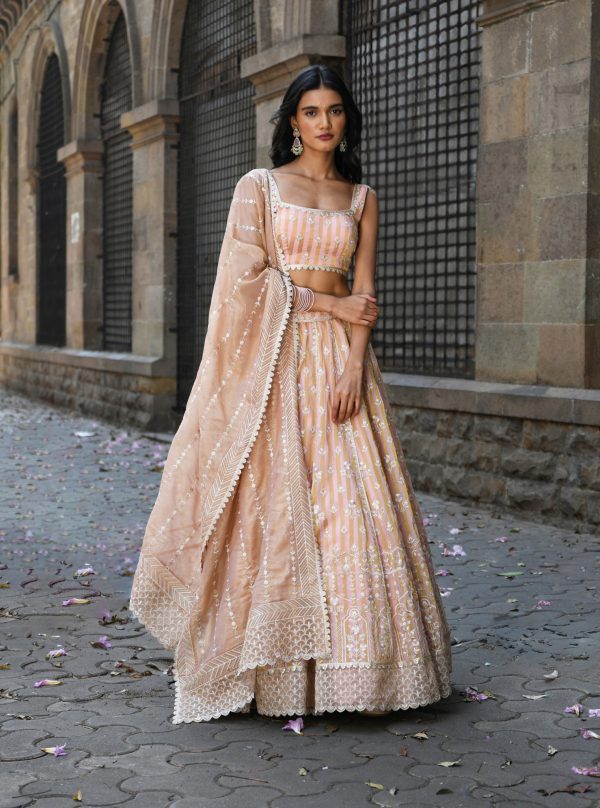 Mulmul Banarsi Sindhuri Light Pink Lehenga Online Sale