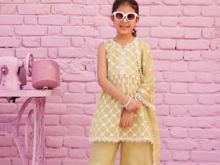 Mulmul Organza Melati Lime Green Kurta With Mulmul Organza Melati Lime Green Pant Hot on Sale