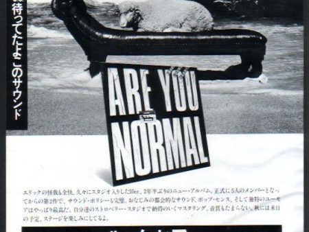 10cc 1980 05 Are You Normal Japan album promo ad Supply