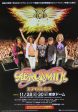 Aerosmith 2011 Japan concert tour gig flyer on Sale